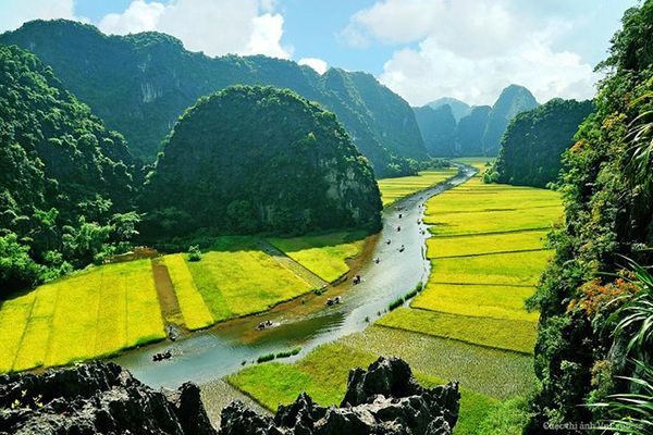 Tam COc