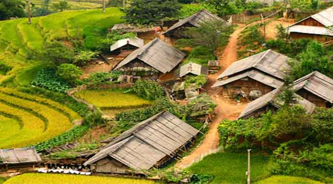 Sapa Tour 2 Days 1 Night (Night Bus+Stay in Homestay)